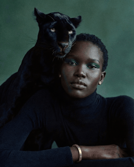 Cartier campaign visual